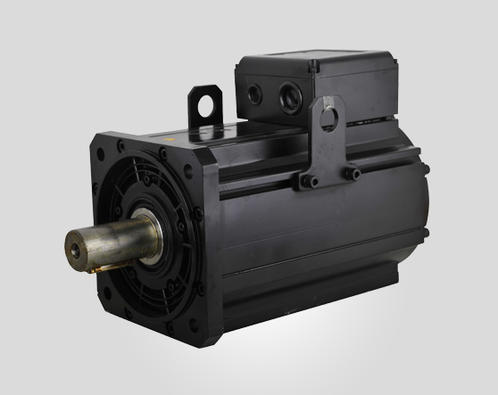 電液專(zhuān)用伺服電機(jī)